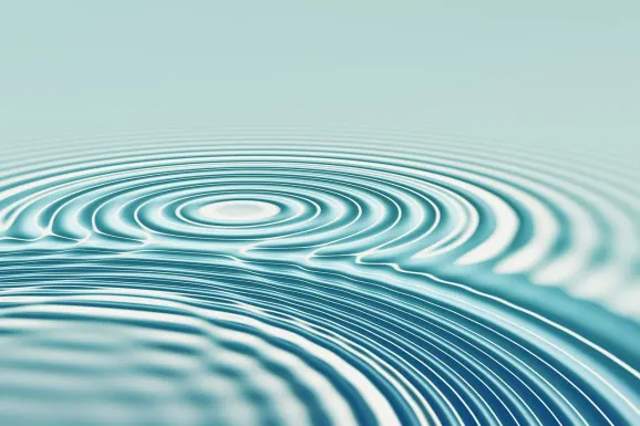 PNX Bet Casino Support